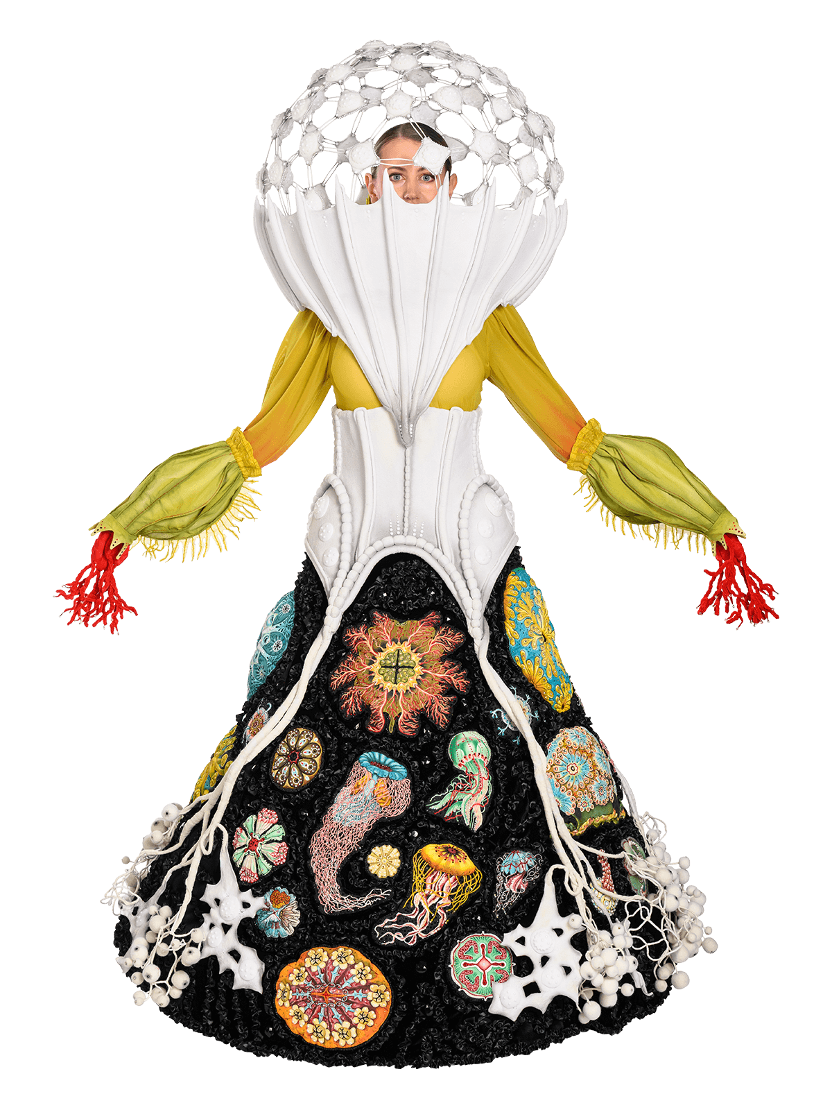 Meine Erste Liebe, Fifi Colston, New Zealand